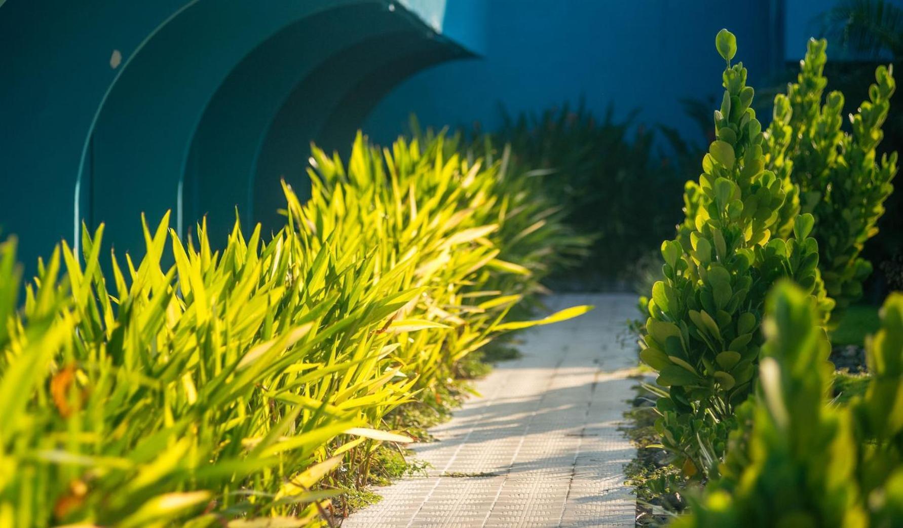 Beach Break Resort & Cr Surf Camp Хако Экстерьер фото