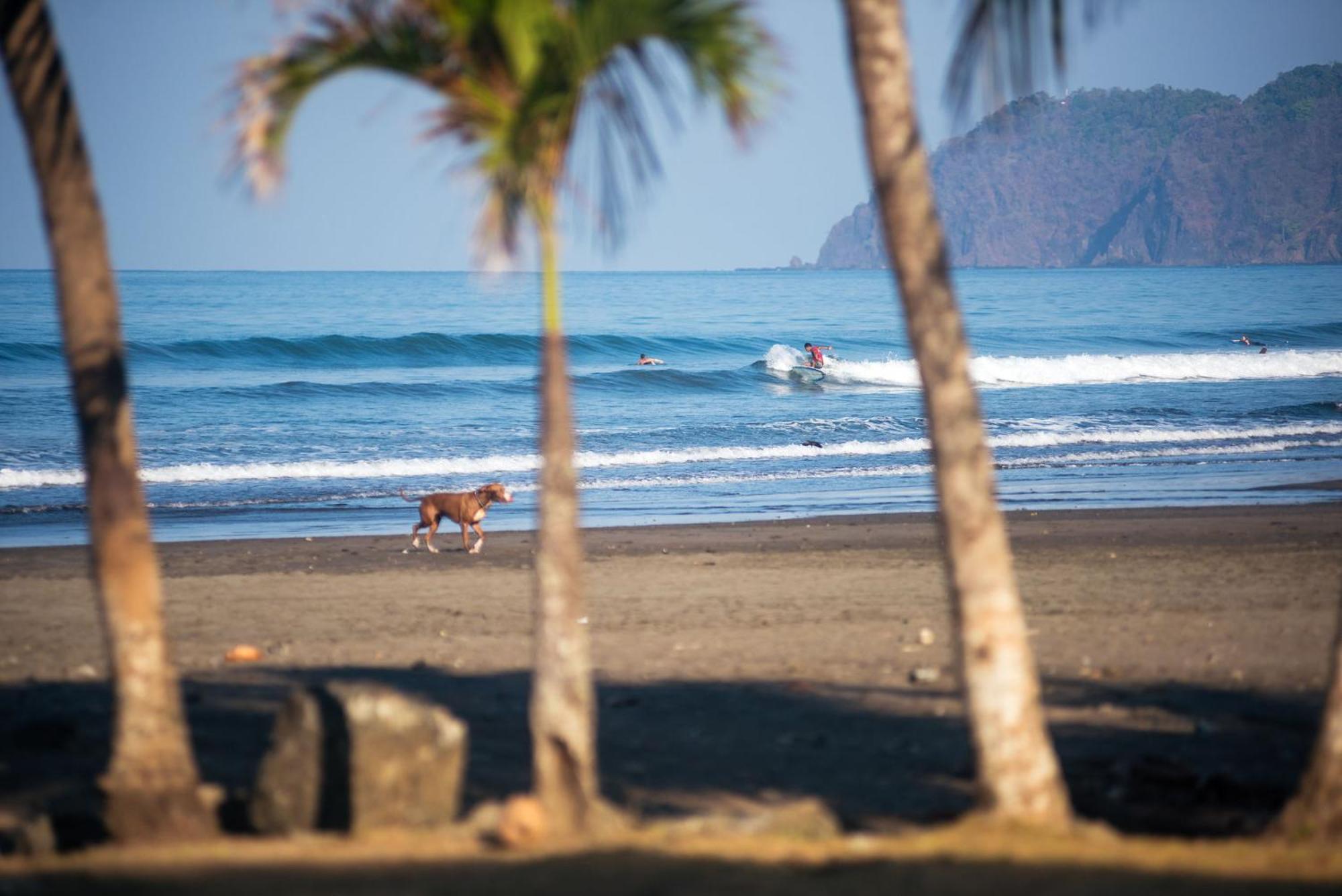 Beach Break Resort & Cr Surf Camp Хако Экстерьер фото